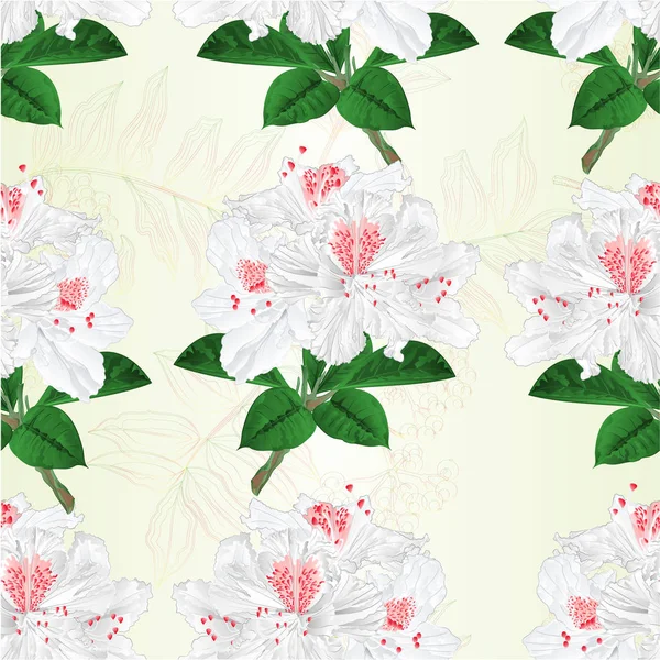 Bezešvých Textur Květiny Bílé Rododendrony Větvička Horský Keř Vintage Vektorové — Stockový vektor