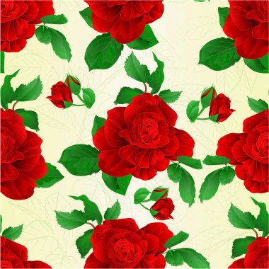 Phalaenopsis tropikal bitki vintage vektör botanik illüstrasyon düzenlenebilir el çekmek için sorunsuz doku kök orkide çiçek sarı 