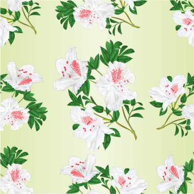 Sorunsuz doku beyaz ormangülü dal dağ çalı vintage vektör çizim düzenlenebilir el çizmek