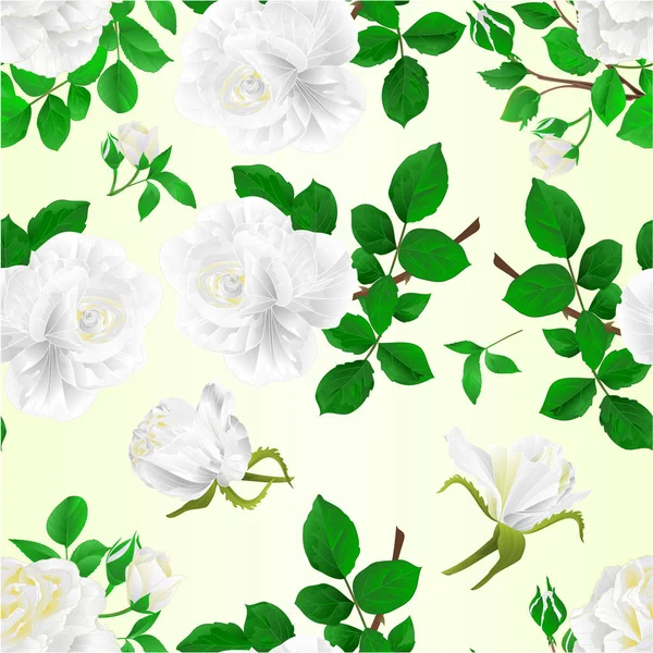 Seamless Texture White Roses Buds Leaves Vintage White Background Set — Stock Vector