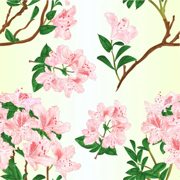 Textura Sem Costura Luz Rosa Rododendro Ramo Montês Arbusto Vintage — Vetor de Stock
