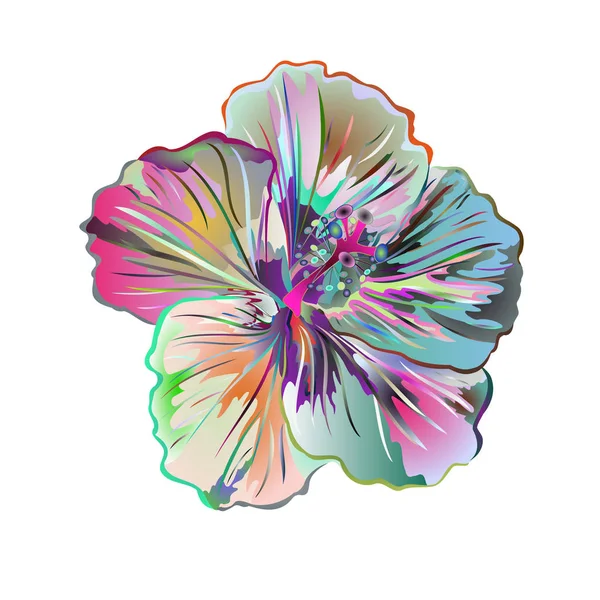 Ibišky Mnoho Barevný Akvarel Jednoduché Tropická Květina Bílém Pozadí Vintage — Stockový vektor