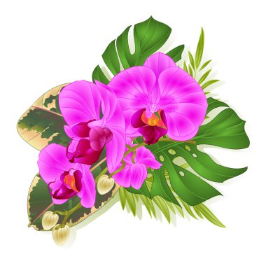 Hawaii düzenlenebilir el çizmek vintage vektör çizim çiçek düzenleme, güzel mor orkide, palm, bitkiyi ve ficus stil tropik çiçekler buket 