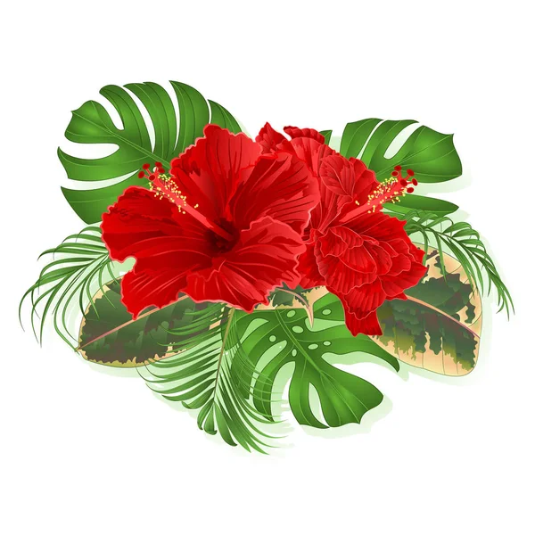 Buquê Com Flores Tropicais Arranjo Floral Estilo Havaiano Com Belo — Vetor de Stock
