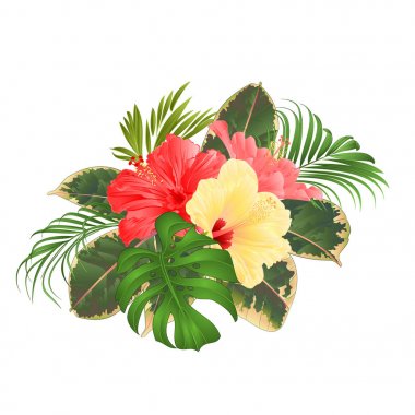 Hawaii düzenlenebilir el çizmek vintage vektör çizim çiçek düzenleme, güzel pembe ve sarı ebegümeci, palm, bitkiyi ve ficus stil tropik çiçekler buket 