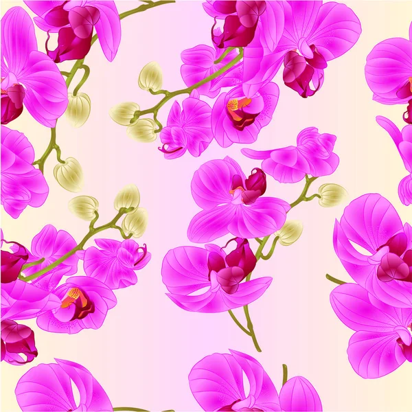 Textura Sem Costura Ramos Orquídeas Flores Roxas Planta Tropical Phalaenopsis — Vetor de Stock