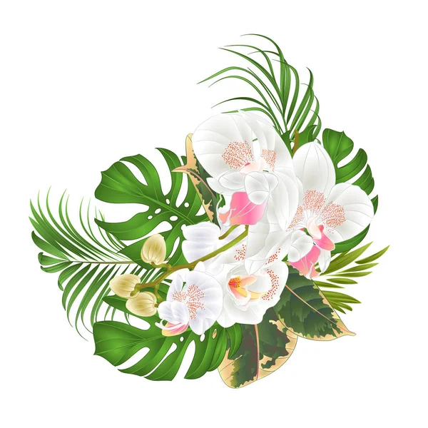 花束与热带花卉插花 与美丽的白色兰花 蔓和榕复古矢量插图可编辑手绘手画 — 图库矢量图片