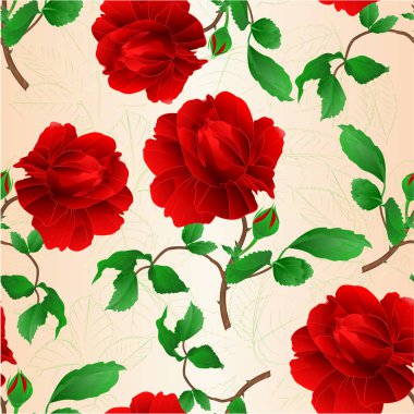 Sorunsuz doku gül yaprakları ile çiçek kırmızı dal ve tomurcuk bir beyaz arka plan vintage vektör düzenlenebilir şekil elde çizin