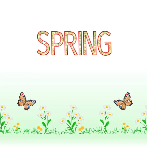 Wiosenny Stokrotka Bezszwowe Tło Granicy Motyl Motyl Wektor Ilustracja Użytku — Wektor stockowy