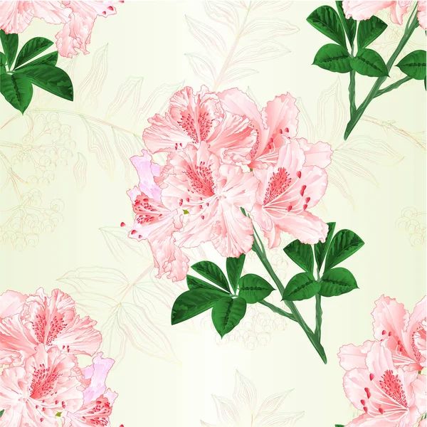 Bezešvých Textur Květy Světle Růžové Rododendrony Větvička Horský Keř Vintage — Stockový vektor