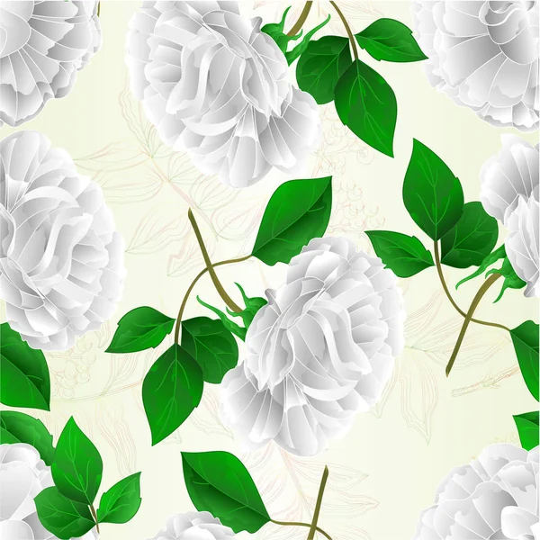 Ομαλή Υφή Τριαντάφυλλο Λευκό Λουλούδι Και Φύλλα Φυσικό Υπόβαθρο Εκλεκτής — Διανυσματικό Αρχείο