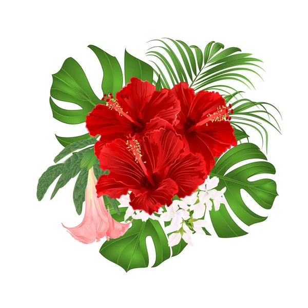 トロピカル ブーケの花の美しい赤いハイビスカス フィロデンドロン ブルグマンシア ビンテージ ベクトル図編集手描花のアレンジメント — ストックベクタ