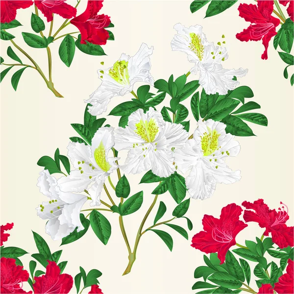 Texture Senza Cuciture Bianco Rosso Rododendro Ramoscello Con Fiori Foglie — Vettoriale Stock
