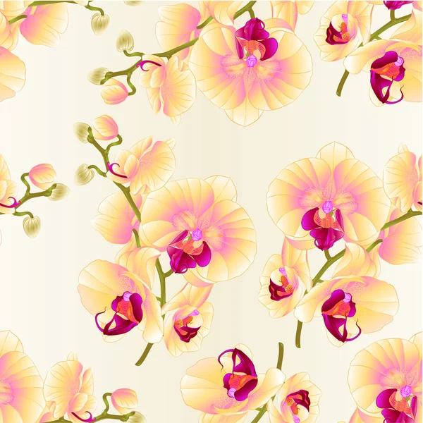 Varrat Nélküli Textúra Orchideák Sárga Virágok Phalaenopsis Trópusi Növény Fehér — Stock Vector