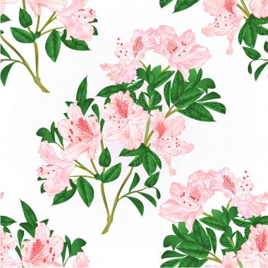 Sorunsuz doku hafif pembe ormangülü dal çiçek ve yaprakları dağ çalı vintage el çizmek vektör çizim ile