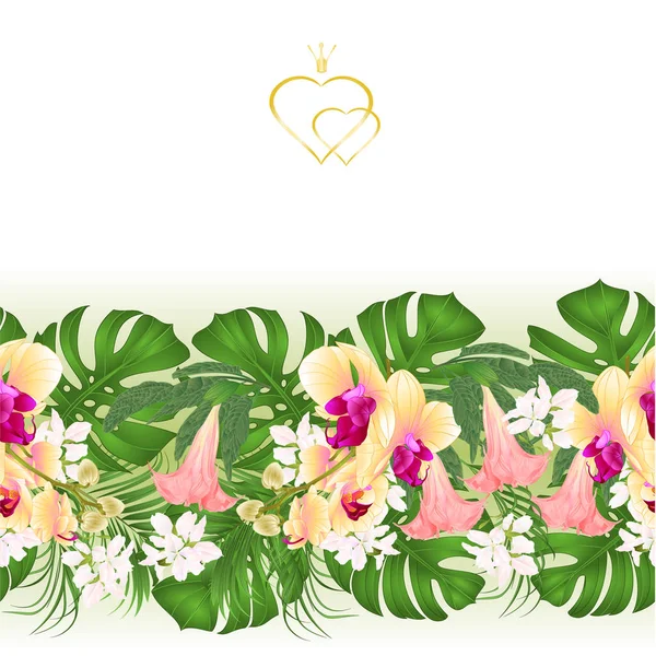 Άνθινο Πλαίσιο Απρόσκοπτη Υπόβαθρο Μπουκέτο Τροπικά Λουλούδια Floral Ρύθμιση Όμορφο — Διανυσματικό Αρχείο