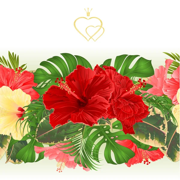 Blumenrand Nahtloser Hintergrund Mit Blühenden Verschiedenen Hibiskus Und Tropischen Blättern — Stockvektor