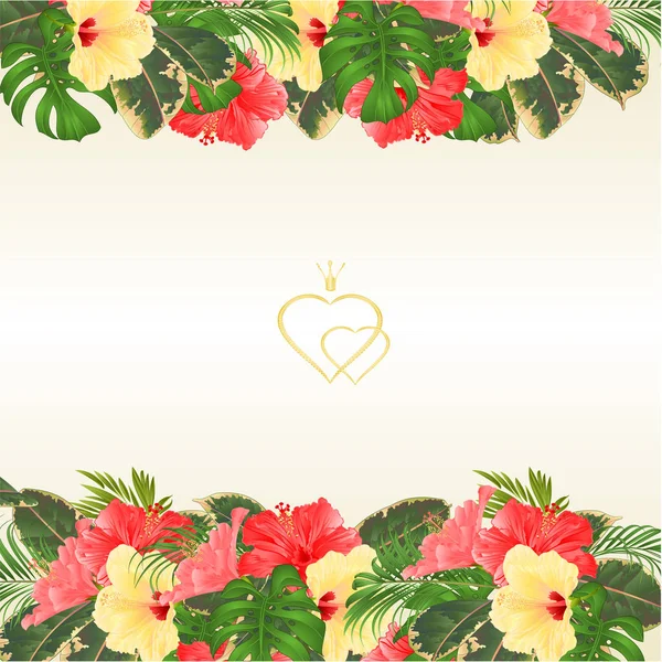 Bordure Florale Avec Floraison Divers Hibiscus Feuilles Tropicales Vecteur Illustration — Image vectorielle