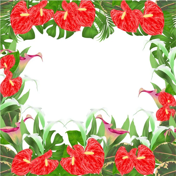 Frontera Floral Fondo Natural Con Azucenas Flor Cala Anthurium Palmera — Vector de stock