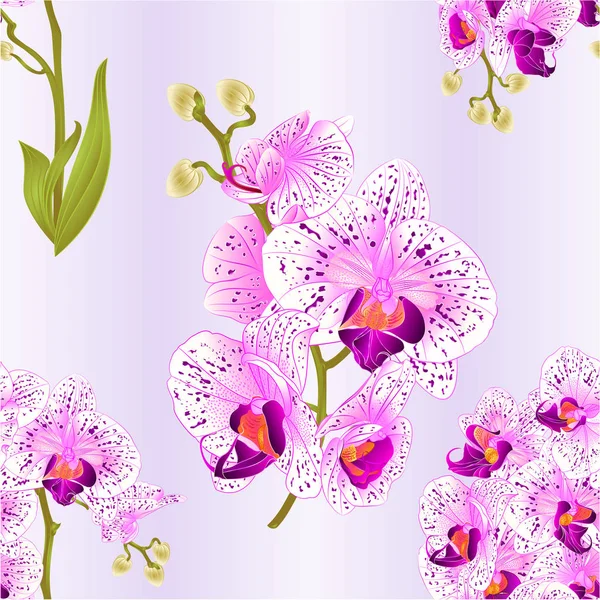 Textura Sem Costura Ramos Orquídea Phalaenopsis Roxo Branco Flores Folhas — Vetor de Stock