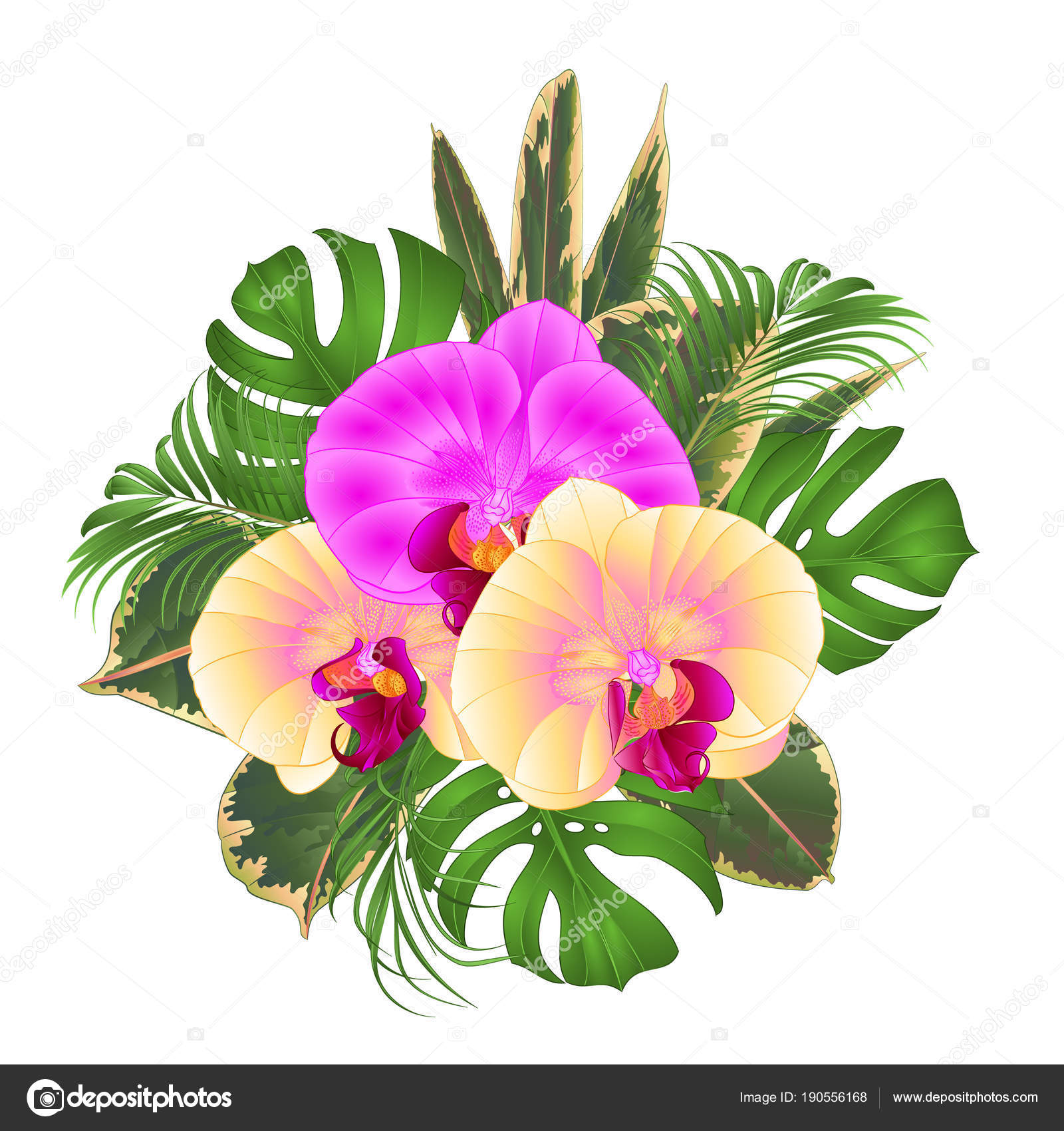 Bouquet Tropical Flowers Floral Arrangement Beautiful Yellow Purple