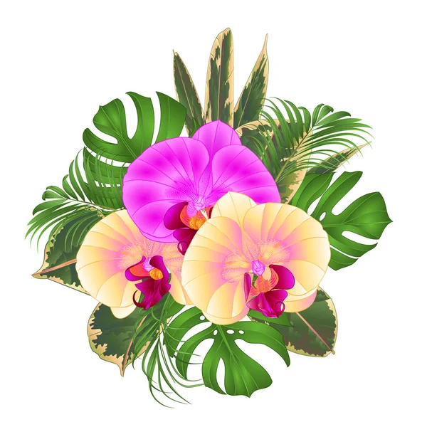Bukiet Tropikalne Kwiaty Kwiatów Układ Piękna Purpurowych Żółtych Storczyków Palm — Wektor stockowy