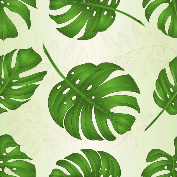 Textura Sem Costura Philodendron Tropical Selva Folhas Natureza Fundo Vetor — Vetor de Stock