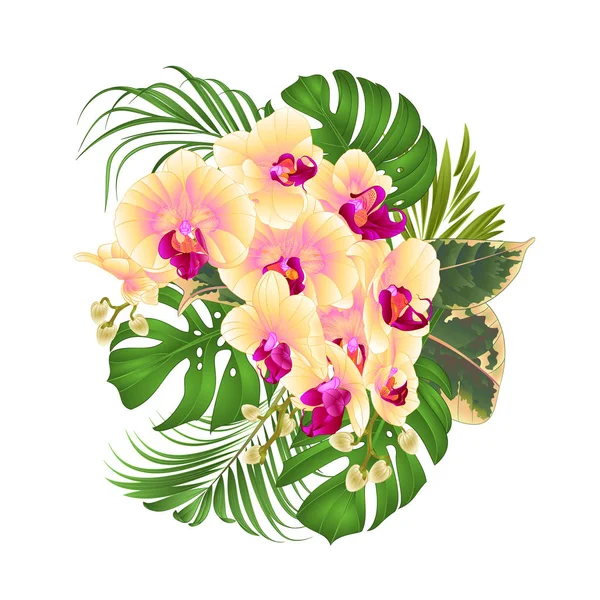 Bouquet Aux Fleurs Tropicales Arrangement Floral Avec Belle Orchidée Jaune — Image vectorielle
