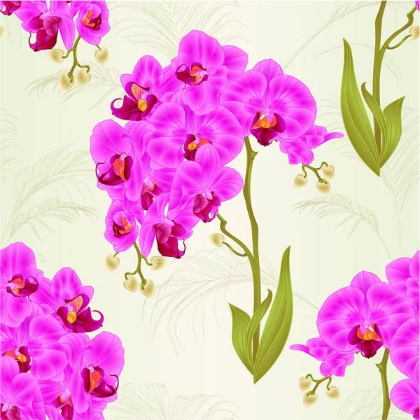 Texture Sans Couture Branches Orchidée Phalaenopsis Fleurs Violettes Feuilles Plantes — Image vectorielle