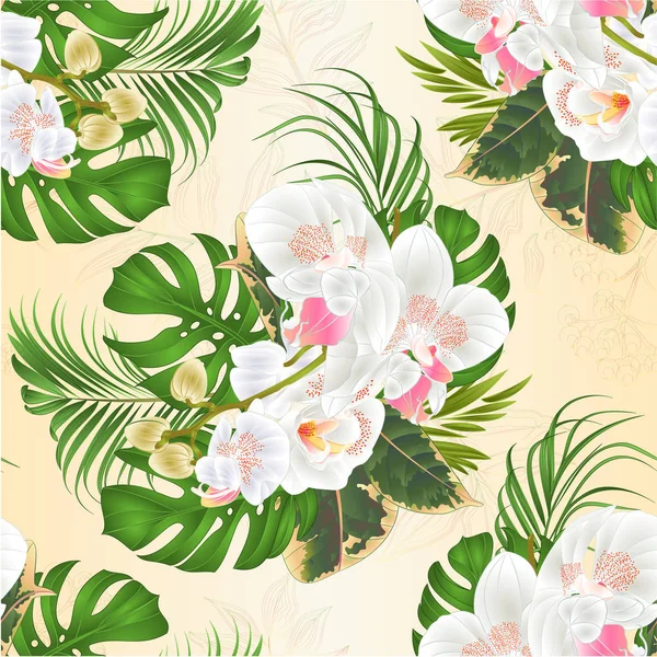 无缝纹理花束与热带花卉插花 与美丽的白色兰花 蔓和榕复古矢量插图可编辑手绘手画 — 图库矢量图片
