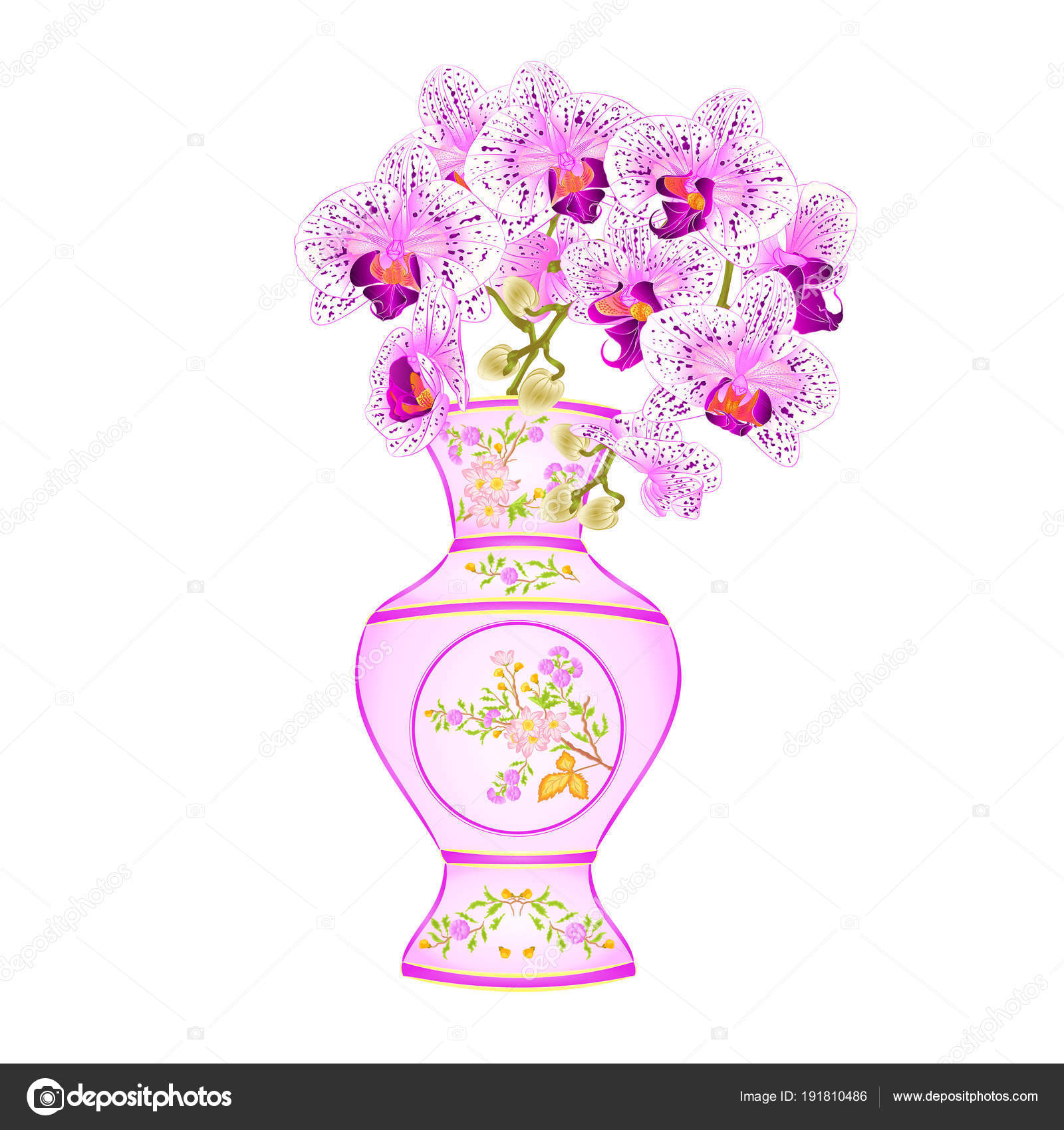 Orchidée Phalenopsis Blancs Violets Dans Vase Porcelaine