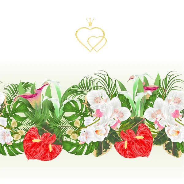 Floral Bordure Sans Couture Fond Bouquet Avec Des Fleurs Tropicales — Image vectorielle