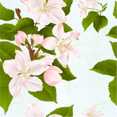 Sorunsuz doku elma ağacı dalı çiçek ve tomurcukları ile bahar arka plan vektör çizim düzenlenebilir el çizmek