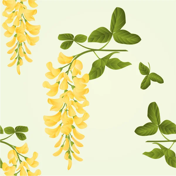 Textura Sin Costura Laburnum Rama Arbusto Decorativo Naturaleza Fondo Vector — Archivo Imágenes Vectoriales