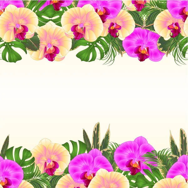 美しい黄色と紫の蘭 フィロデンドロン ビンテージ ベクトル イラスト描く編集可能な手で 熱帯の花フラワーアレンジメントと花のシームレス背景花束 — ストックベクタ