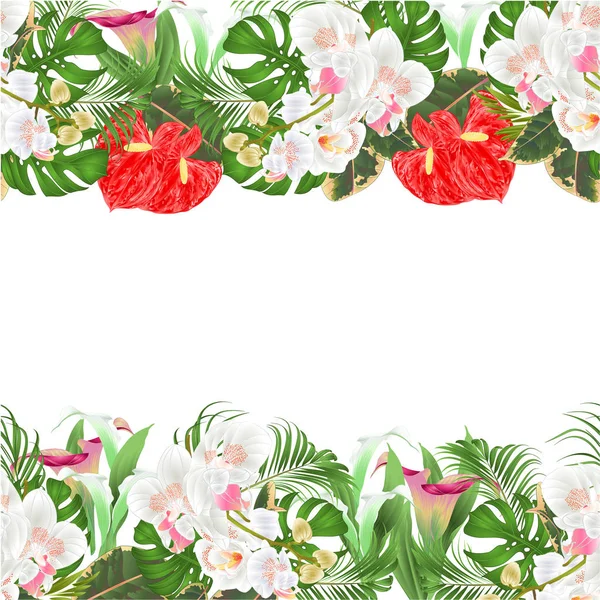 花卉无缝背景花束与热带花卉插花 与美丽的白色兰花 蔓复古矢量插图可编辑手绘手画 — 图库矢量图片