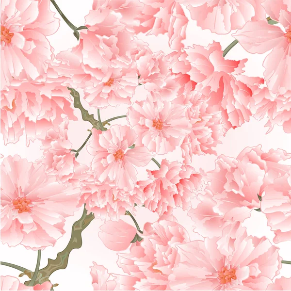 Textura Sem Costura Galho Árvore Sakura Flores Vintage Natural Rosa — Vetor de Stock