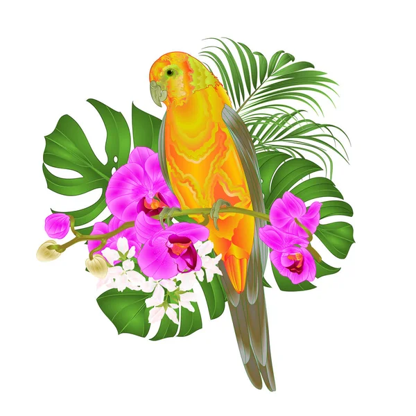 Papuga Conure Słońca Tropikalne Ptak Stojący Fioletowy Orchidei Phalaenopsis Palm — Wektor stockowy