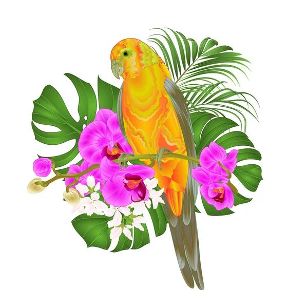 Sun Conure Loro Pájaro Tropical Pie Sobre Una Orquídea Púrpura — Vector de stock