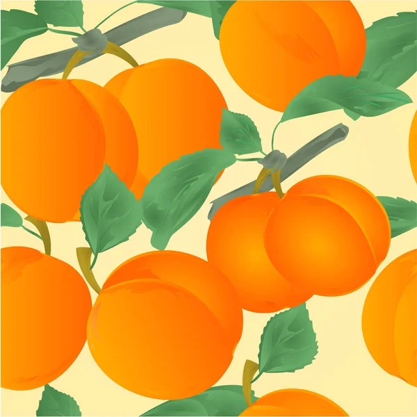 Naadloze Textuur Abrikozen Met Bladeren Dessert Fruit Vector Illustratie Bewerkbare — Stockvector
