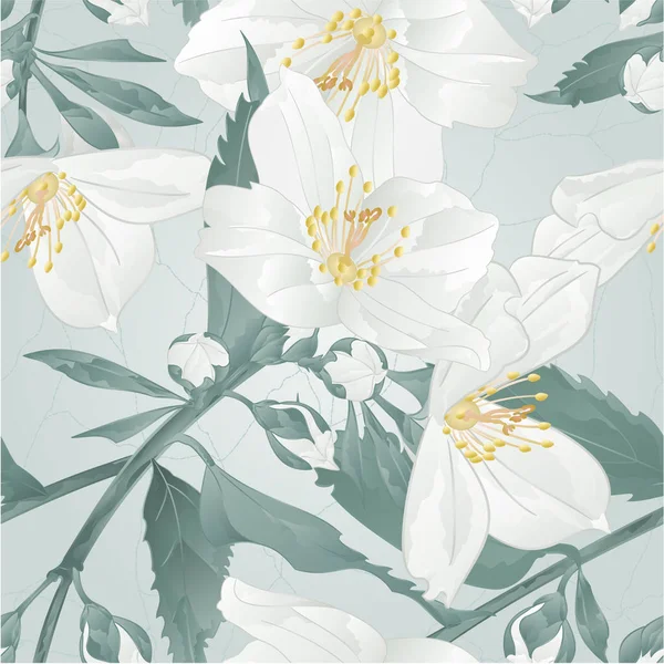 Texture Sans Couture Brindille Fleur Jasmin Bourgeons Fissure Vintage Vectoriel — Image vectorielle