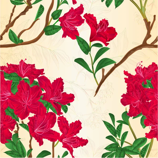 Nahtlose Textur Rot Rhododendron Zweig Berg Strauch Jahrgang Vektor Illustration — Stockvektor