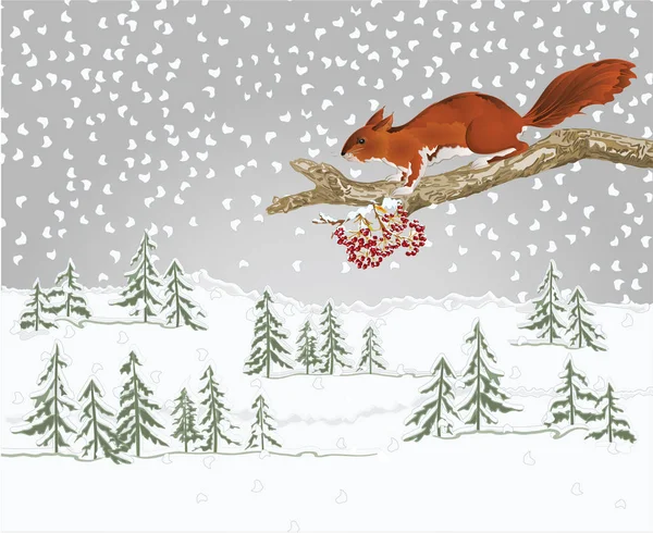 Yaşlı bir ağaç üzerinde kar ve sincap olan kış manzarası. Doğal arkaplan teması. Doğal arka plan vintage illüstrasyon çizimi.