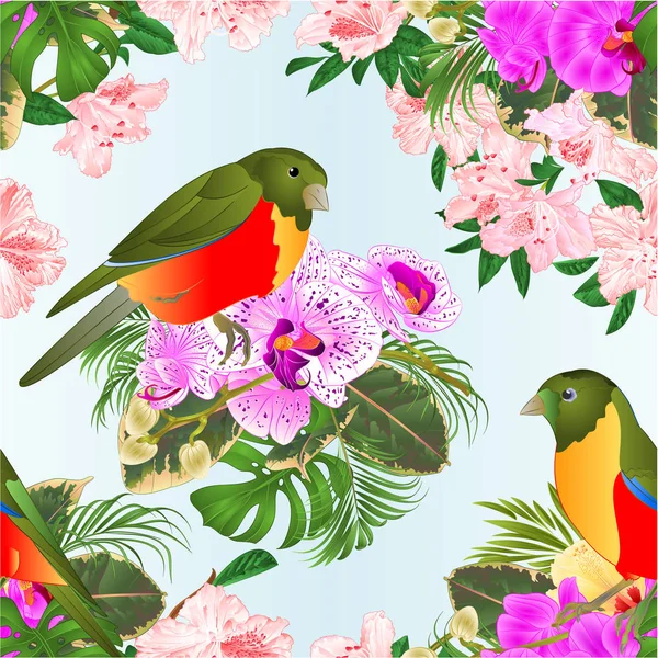 Naadloze Textuur Kleine Tropische Vogels Met Tropische Bloemen Bloemstuk Mooie — Stockvector