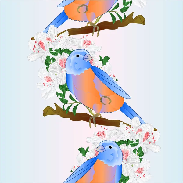 Függőleges Határ Zökkenőmentes Háttér Kis Énekesmadár Bluebird Rigó Fehér Rododendron — Stock Vector