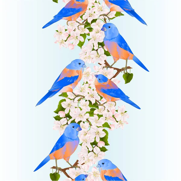 垂直的边框无缝背景蓝鸟在苹果树枝上掠过小鸟 它的花朵是春天的背景 — 图库矢量图片