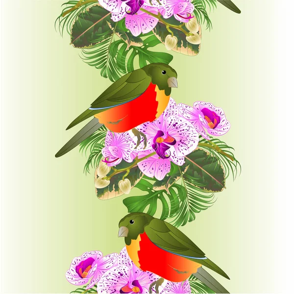 Bordure Verticale Fond Sans Couture Fleurs Tropicales Violet Blanc Phalenopsis — Image vectorielle