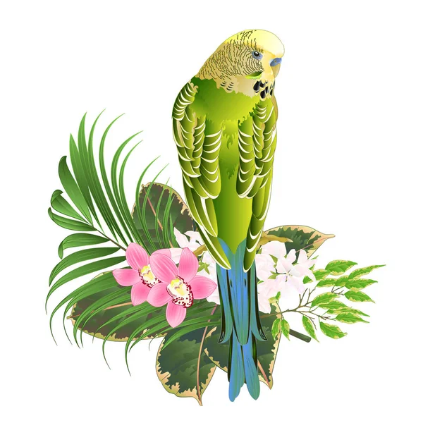 Budgerigar Mascota Casera Perico Mascota Verde Con Flores Tropicales Arreglo — Archivo Imágenes Vectoriales