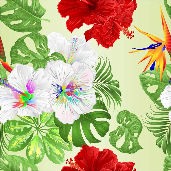 Ramo Textura Sin Costuras Con Flores Tropicales Arreglo Floral Con — Archivo Imágenes Vectoriales