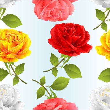 Kusursuz desenli güller, mavi arka planda yaprakları olan kırmızı, beyaz, sarı dal, klasik vektör çizimi, düzenlenebilir el çizimi.